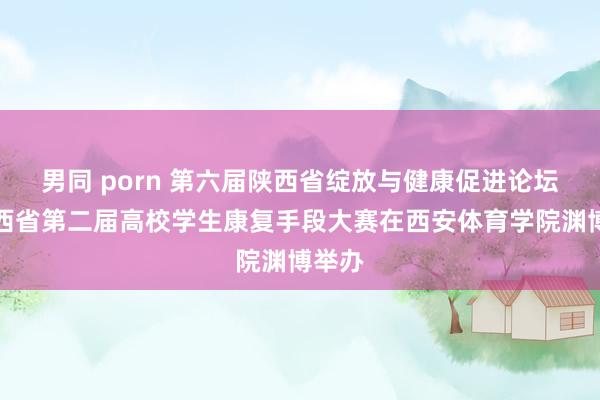 男同 porn 第六届陕西省绽放与健康促进论坛暨陕西省第二届高校学生康复手段大赛在西安体育学院渊博举办