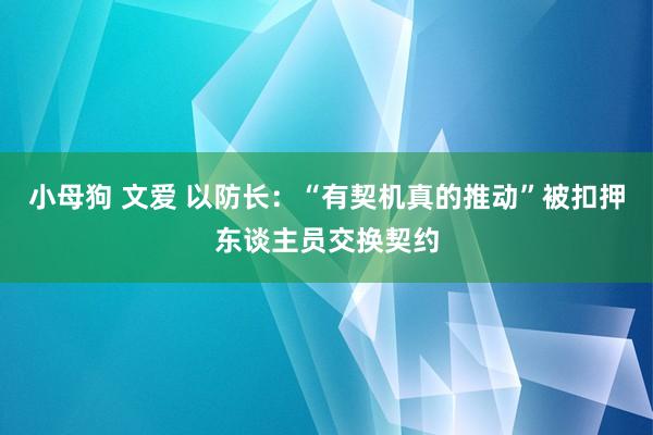 小母狗 文爱 以防长：“有契机真的推动”被扣押东谈主员交换契约