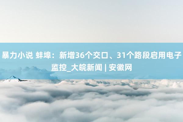 暴力小说 蚌埠：新增36个交口、31个路段启用电子监控_大皖新闻 | 安徽网