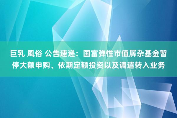 巨乳 風俗 公告速递：国富弹性市值羼杂基金暂停大额申购、依期定额投资以及调遣转入业务