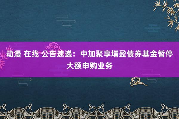 动漫 在线 公告速递：中加聚享增盈债券基金暂停大额申购业务