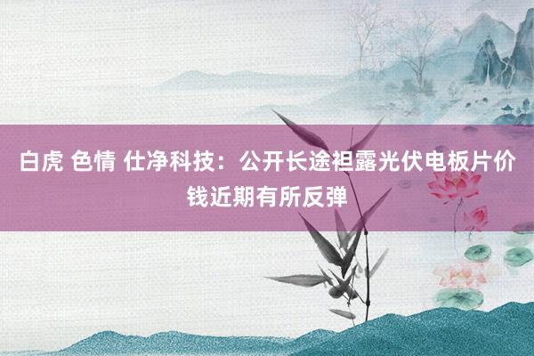 白虎 色情 仕净科技：公开长途袒露光伏电板片价钱近期有所反弹