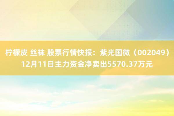 柠檬皮 丝袜 股票行情快报：紫光国微（002049）12月11日主力资金净卖出5570.37万元