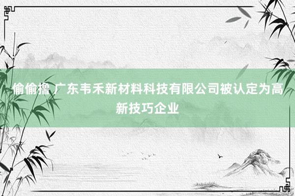 偷偷撸 广东韦禾新材料科技有限公司被认定为高新技巧企业