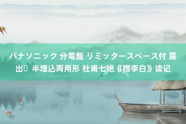 パナソニック 分電盤 リミッタースペース付 露出・半埋込両用形 杜甫七绝《赠李白》读记