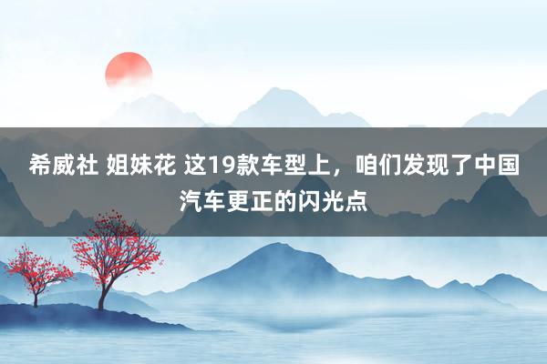 希威社 姐妹花 这19款车型上，咱们发现了中国汽车更正的闪光点