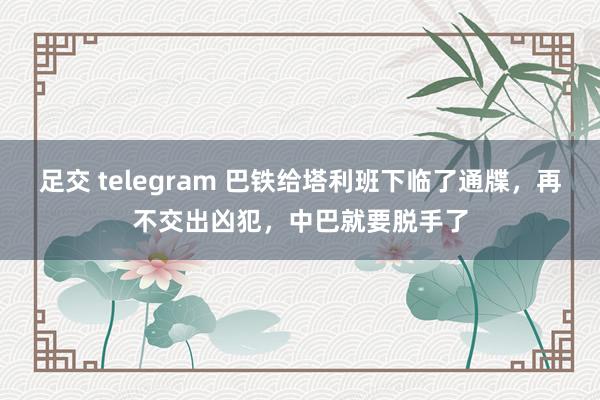 足交 telegram 巴铁给塔利班下临了通牒，再不交出凶犯，中巴就要脱手了