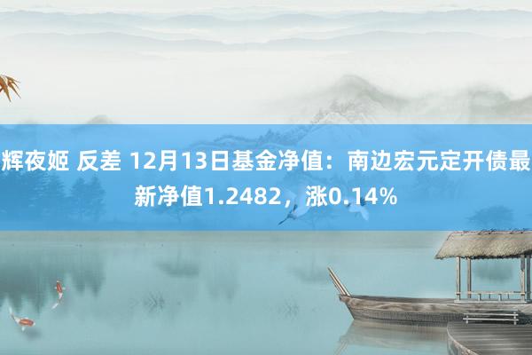 辉夜姬 反差 12月13日基金净值：南边宏元定开债最新净值1.2482，涨0.14%