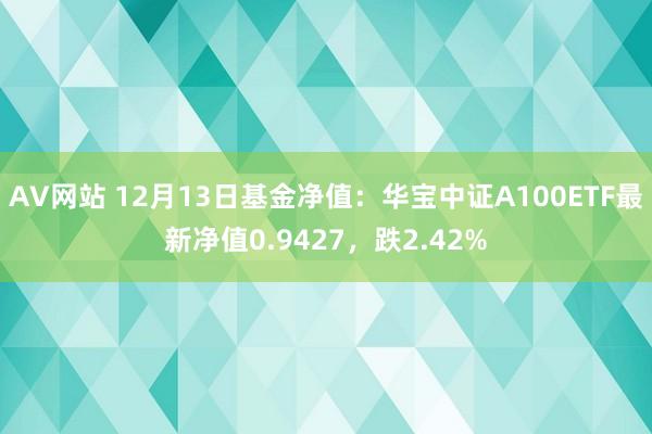 AV网站 12月13日基金净值：华宝中证A100ETF最新净值0.9427，跌2.42%