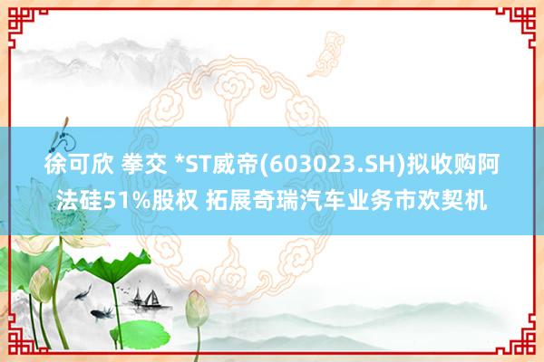 徐可欣 拳交 *ST威帝(603023.SH)拟收购阿法硅51%股权 拓展奇瑞汽车业务市欢契机