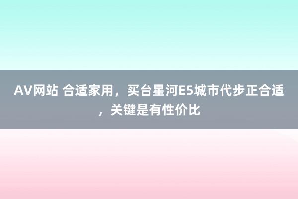 AV网站 合适家用，买台星河E5城市代步正合适，关键是有性价比