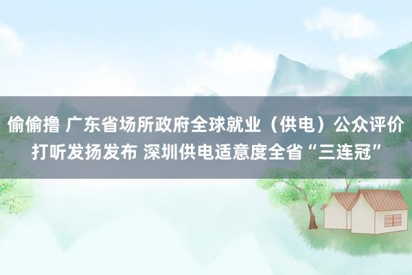 偷偷撸 广东省场所政府全球就业（供电）公众评价打听发扬发布 深圳供电适意度全省“三连冠”