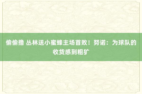 偷偷撸 丛林送小蜜蜂主场首败！努诺：为球队的收货感到粗犷