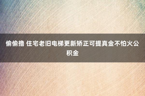 偷偷撸 住宅老旧电梯更新矫正可提真金不怕火公积金