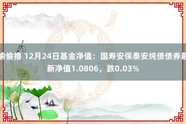 偷偷撸 12月24日基金净值：国寿安保泰安纯债债券最新净值1.0806，跌0.03%