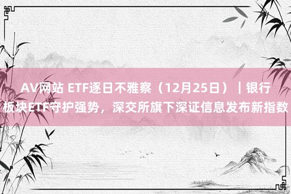 AV网站 ETF逐日不雅察（12月25日）｜银行板块ETF守护强势，深交所旗下深证信息发布新指数