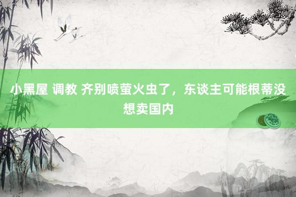 小黑屋 调教 齐别喷萤火虫了，东谈主可能根蒂没想卖国内