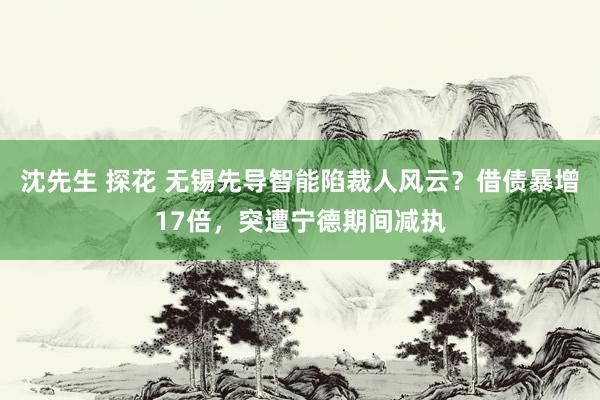 沈先生 探花 无锡先导智能陷裁人风云？借债暴增17倍，突遭宁德期间减执