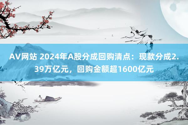 AV网站 2024年A股分成回购清点：现款分成2.39万亿元，回购金额超1600亿元