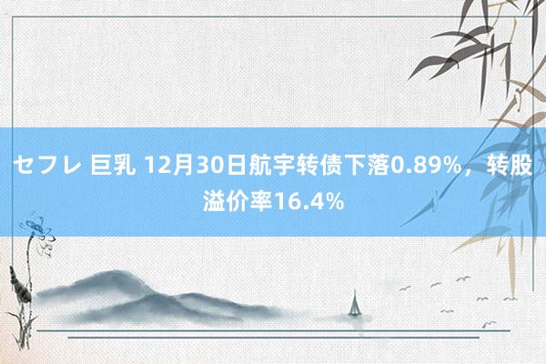 セフレ 巨乳 12月30日航宇转债下落0.89%，转股溢价率16.4%