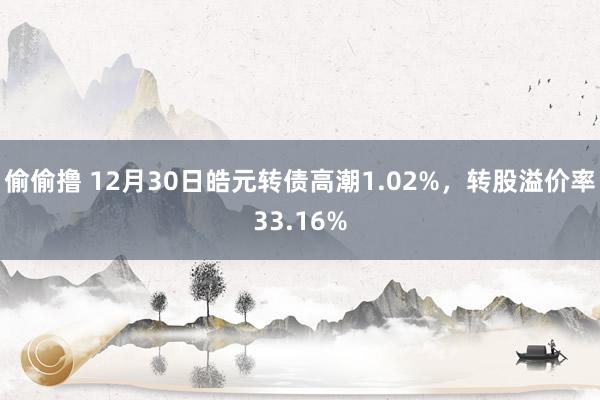 偷偷撸 12月30日皓元转债高潮1.02%，转股溢价率33.16%