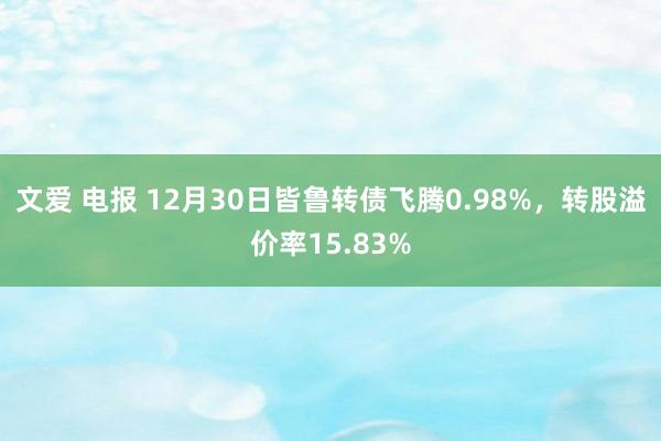 文爱 电报 12月30日皆鲁转债飞腾0.98%，转股溢价率15.83%