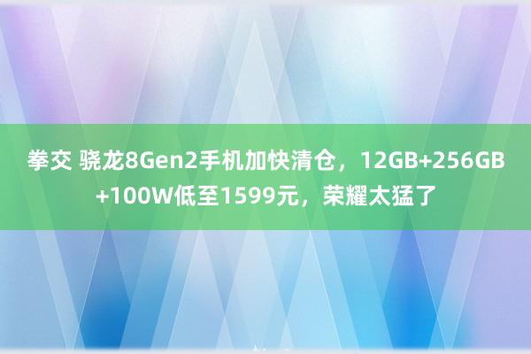 拳交 骁龙8Gen2手机加快清仓，12GB+256GB+100W低至1599元，荣耀太猛了