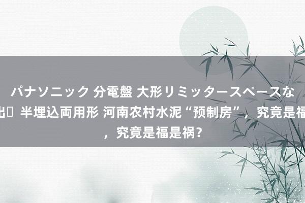 パナソニック 分電盤 大形リミッタースペースなし 露出・半埋込両用形 河南农村水泥“预制房”，究竟是福是祸？