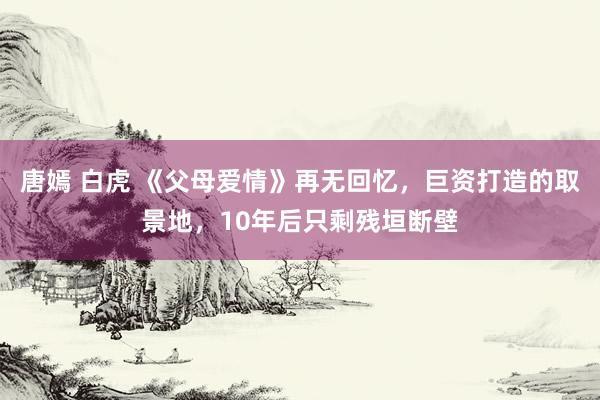 唐嫣 白虎 《父母爱情》再无回忆，巨资打造的取景地，10年后只剩残垣断壁