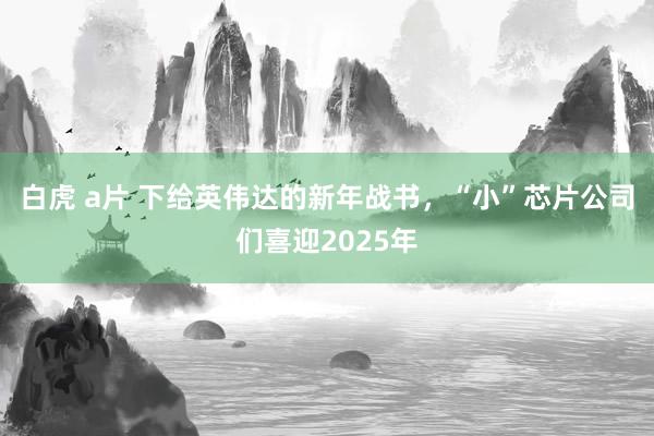 白虎 a片 下给英伟达的新年战书，“小”芯片公司们喜迎2025年