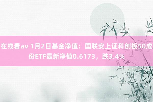 在线看av 1月2日基金净值：国联安上证科创板50成份ETF最新净值0.6173，跌3.4%