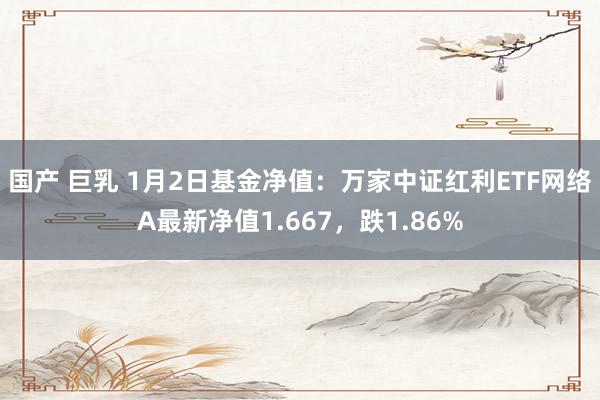 国产 巨乳 1月2日基金净值：万家中证红利ETF网络A最新净值1.667，跌1.86%