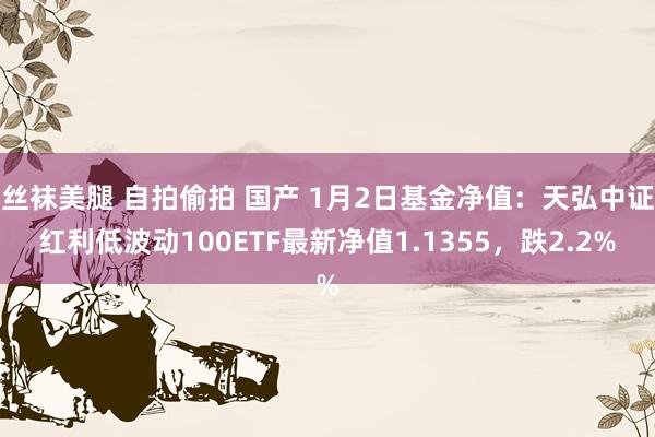 丝袜美腿 自拍偷拍 国产 1月2日基金净值：天弘中证红利低波动100ETF最新净值1.1355，跌2.2%