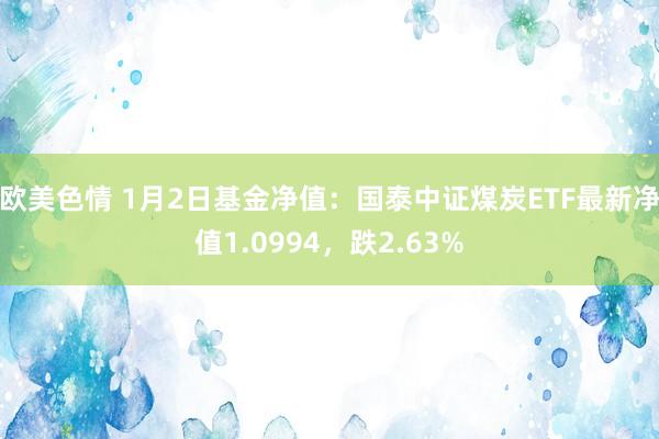 欧美色情 1月2日基金净值：国泰中证煤炭ETF最新净值1.0994，跌2.63%