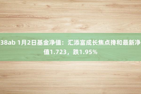 38ab 1月2日基金净值：汇添富成长焦点搀和最新净值1.723，跌1.95%