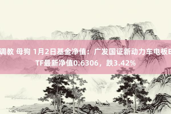 调教 母狗 1月2日基金净值：广发国证新动力车电板ETF最新净值0.6306，跌3.42%