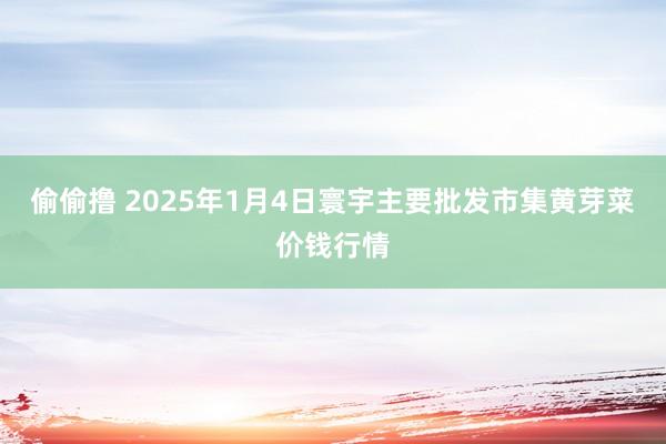 偷偷撸 2025年1月4日寰宇主要批发市集黄芽菜价钱行情