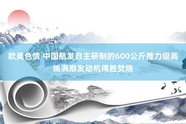 欧美色情 中国航发自主研制的600公斤推力级高端涡扇发动机得胜焚烧