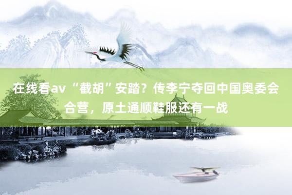 在线看av “截胡”安踏？传李宁夺回中国奥委会合营，原土通顺鞋服还有一战