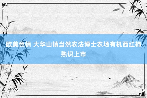 欧美色情 大华山镇当然农法博士农场有机西红柿熟识上市