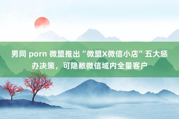 男同 porn 微盟推出“微盟X微信小店”五大惩办决策，可隐敝微信域内全量客户