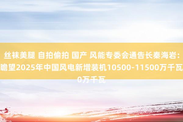 丝袜美腿 自拍偷拍 国产 风能专委会通告长秦海岩：瞻望2025年中国风电新增装机10500-11500万千瓦