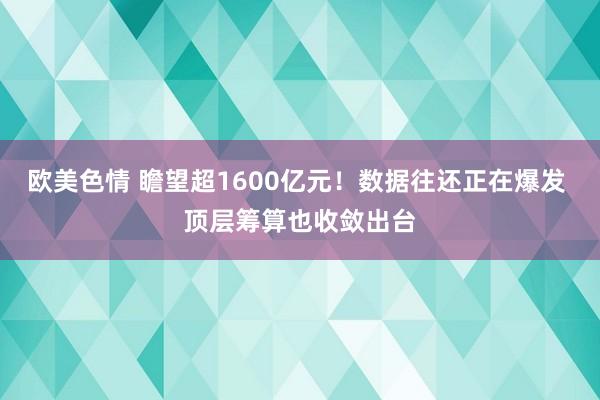 欧美色情 瞻望超1600亿元！数据往还正在爆发 顶层筹算也收敛出台