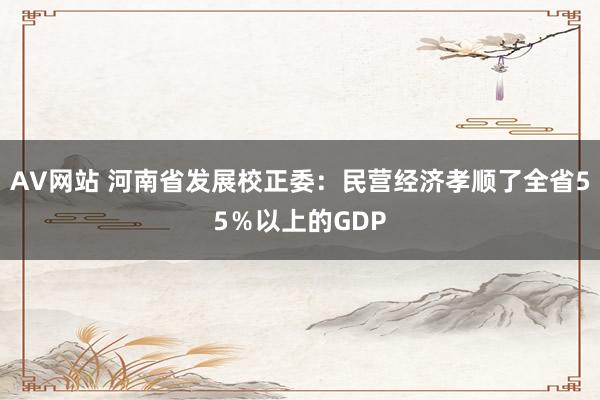 AV网站 河南省发展校正委：民营经济孝顺了全省55％以上的GDP