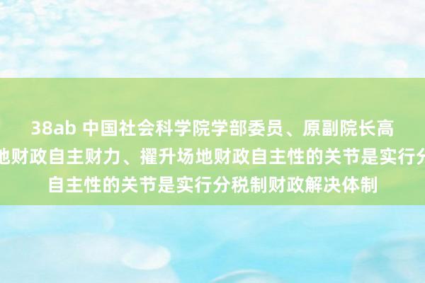 38ab 中国社会科学院学部委员、原副院长高培勇：中国增多场地财政自主财力、擢升场地财政自主性的关节是实行分税制财政解决体制