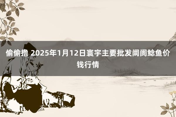 偷偷撸 2025年1月12日寰宇主要批发阛阓鲶鱼价钱行情