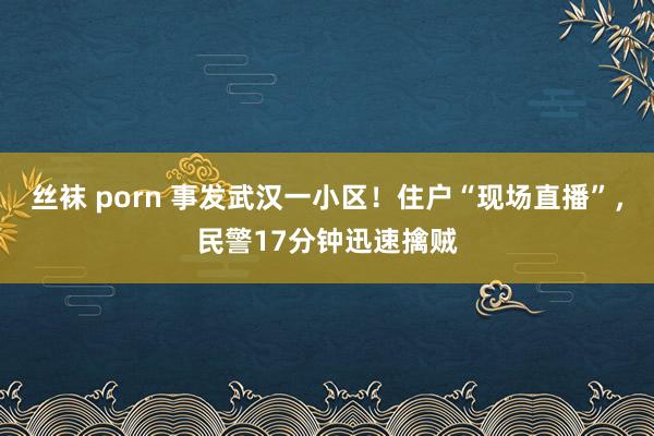 丝袜 porn 事发武汉一小区！住户“现场直播”，民警17分钟迅速擒贼