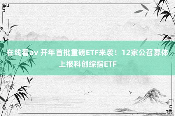 在线看av 开年首批重磅ETF来袭！12家公召募体上报科创综指ETF