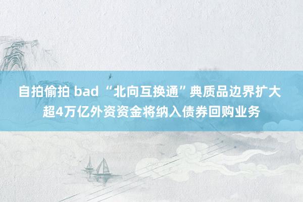 自拍偷拍 bad “北向互换通”典质品边界扩大 超4万亿外资资金将纳入债券回购业务