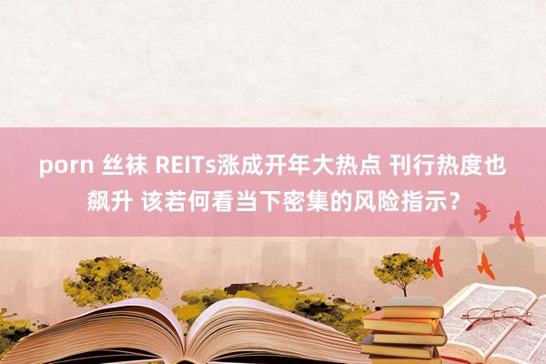 porn 丝袜 REITs涨成开年大热点 刊行热度也飙升 该若何看当下密集的风险指示？